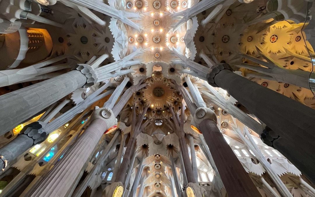 Cole Borror Speaks on The Importance of Curiosity